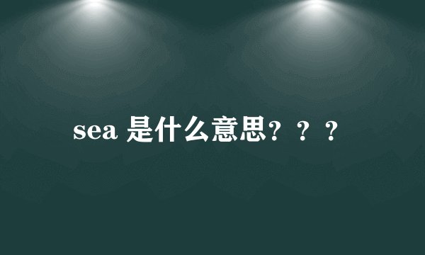 sea 是什么意思？？？