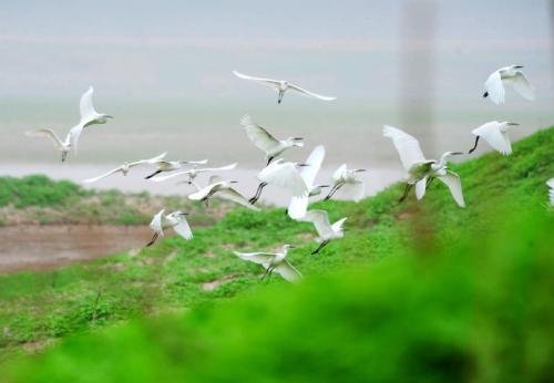 湖上这首诗什么意思?