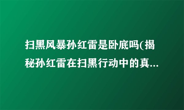 扫黑风暴孙红雷是卧底吗(揭秘孙红雷在扫黑行动中的真实身份)