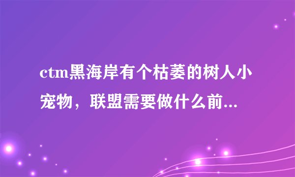 ctm黑海岸有个枯萎的树人小宠物，联盟需要做什么前置任务，才能得到，任务找谁领