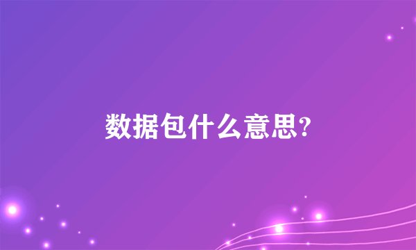 数据包什么意思?