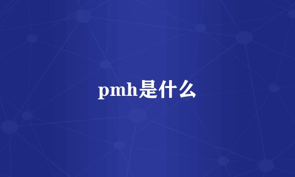 pmh是什么