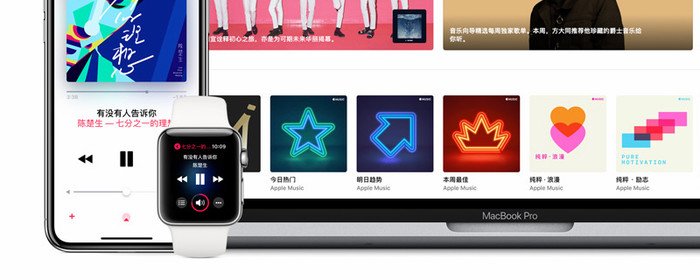 注册苹果id出现请联络iTunes支持人员完成交易？
