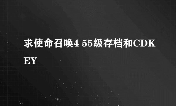 求使命召唤4 55级存档和CDKEY