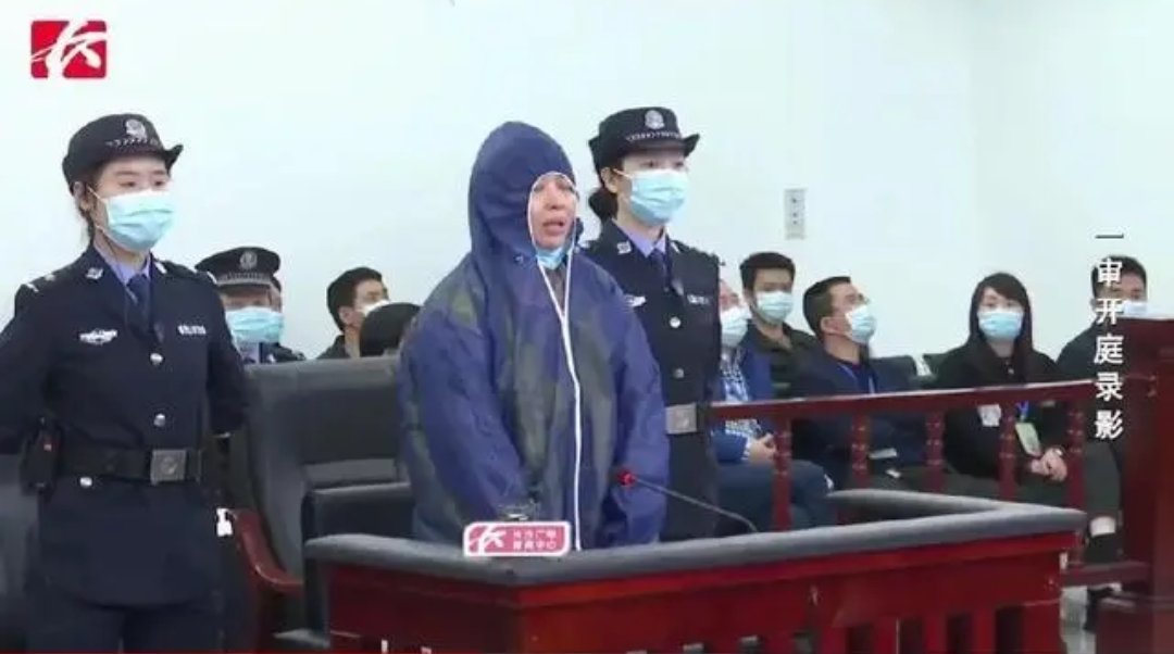 “向慧案”的原委始末是怎样的？