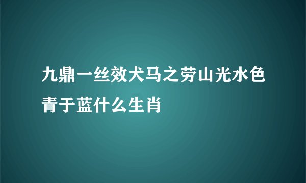 九鼎一丝效犬马之劳山光水色青于蓝什么生肖