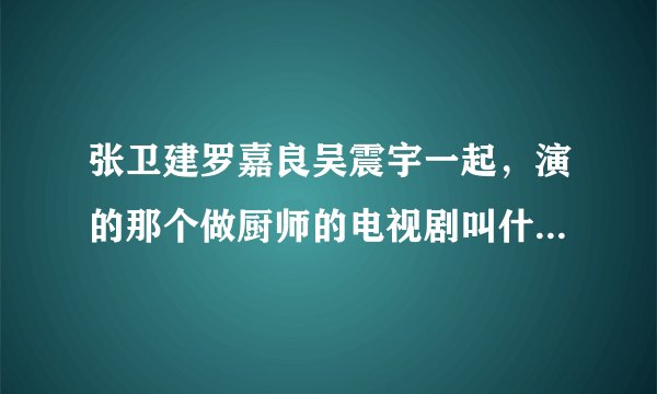 张卫建罗嘉良吴震宇一起，演的那个做厨师的电视剧叫什么名字呀？