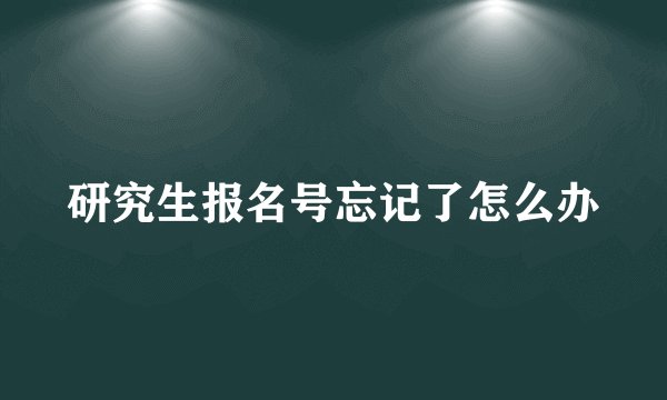 研究生报名号忘记了怎么办