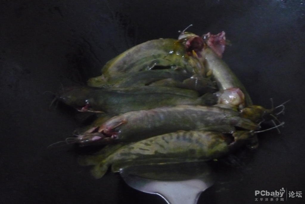 大塘虱鱼的介绍