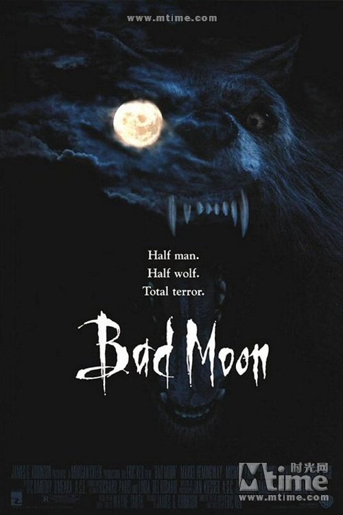 求一部电影名字、欧美片大概内容是一只德国牧羊犬和狼人的较量！求求