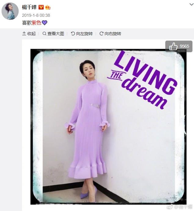 杨千嬅前任男朋友有哪些，她为什么一直紫色头发？