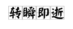 “转瞬即逝”是什么意思？
