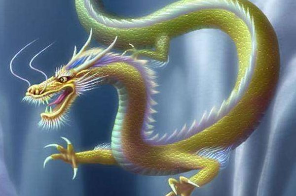 蛇变成龙的过程