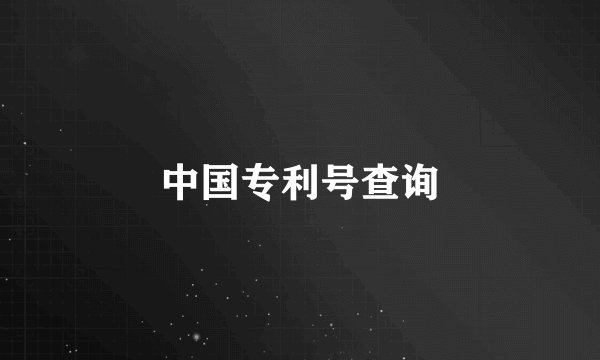 中国专利号查询