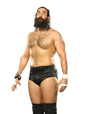 Luke Harper的常用招式