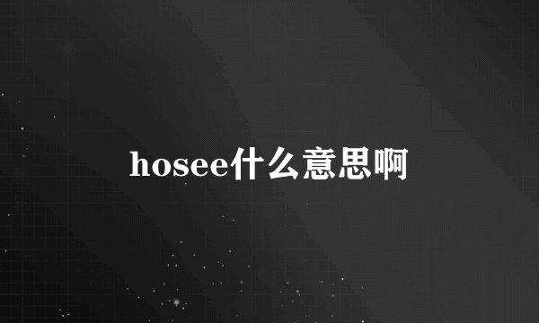 hosee什么意思啊
