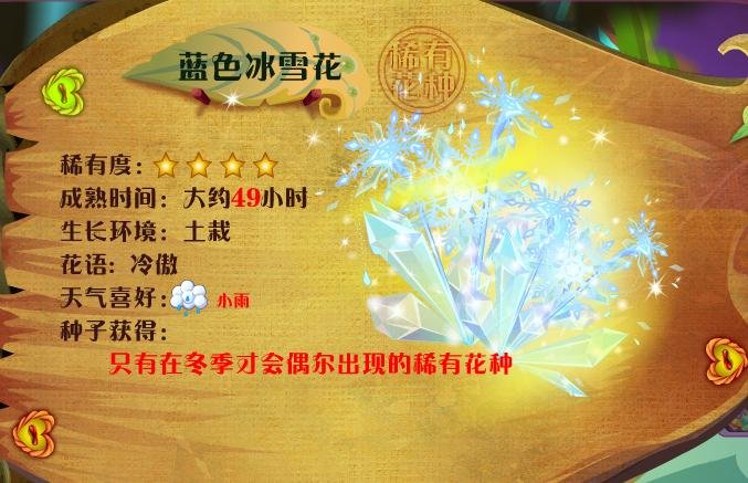 小花仙有什么稀有花种?