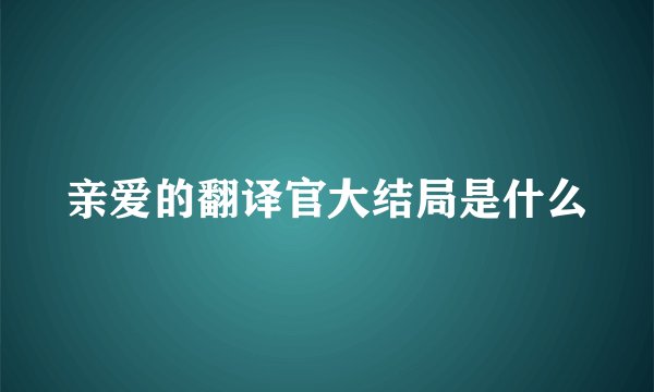 亲爱的翻译官大结局是什么