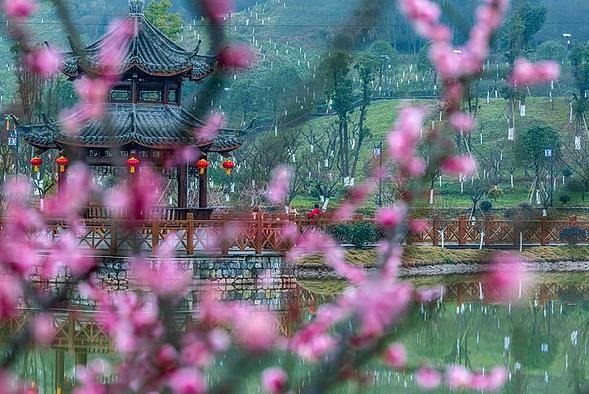 2019年二月四号什么时候立春