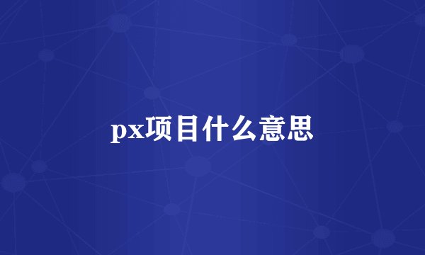 px项目什么意思