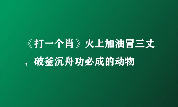 《打一个肖》火上加油冒三丈，破釜沉舟功必成的动物