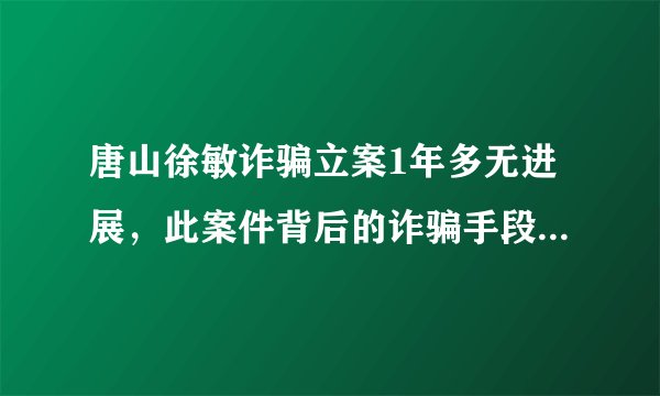 唐山徐敏诈骗立案1年多无进展，此案件背后的诈骗手段是怎样的？