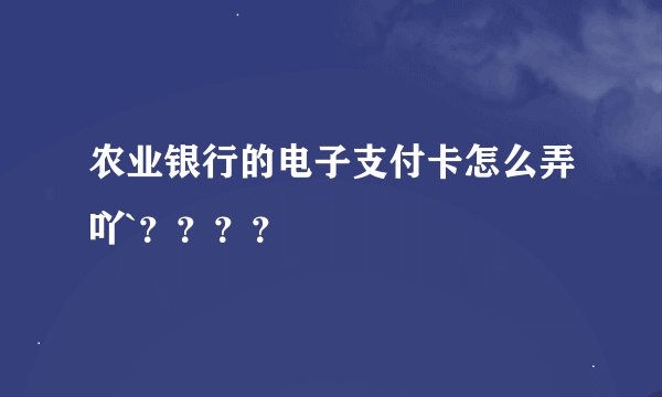 农业银行的电子支付卡怎么弄吖`？？？？
