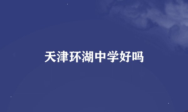 天津环湖中学好吗