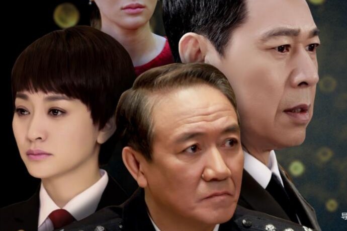 如何评价由李幼斌、李小冉、张丰毅主演的电视剧《因法之名》？