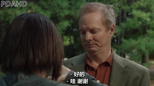 蕾切尔的婚礼的剧情简介