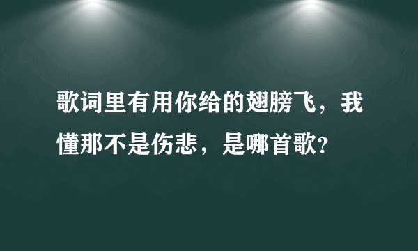 歌词里有用你给的翅膀飞，我懂那不是伤悲，是哪首歌？