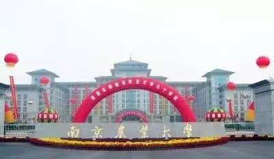 南京农业大学是几本