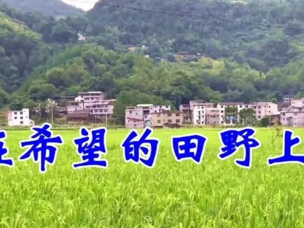 在希望的田野上原唱