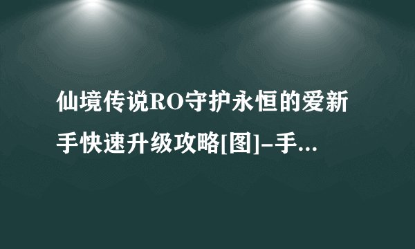 仙境传说RO守护永恒的爱新手快速升级攻略[图]-手游攻略-游戏鸟手游网