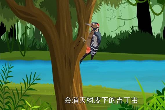 蚂蚁的天敌是什么动物 蚂蚁害怕什么动物