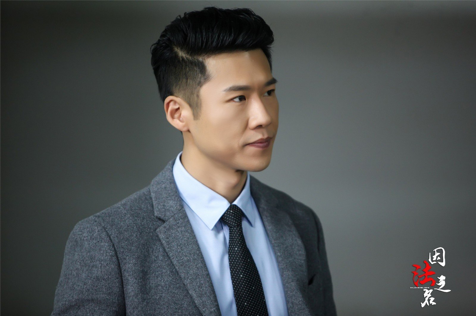 如何评价由李幼斌、李小冉、张丰毅主演的电视剧《因法之名》？