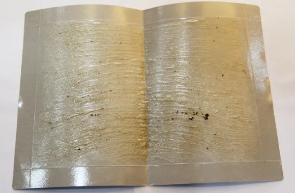 苍蝇怎么消灭 最有效的方法