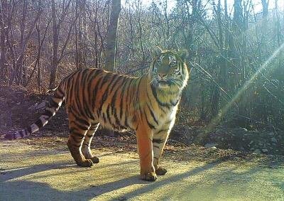 “虎口逃生”女子：我当时傻眼了，在她身上发生了什么事？