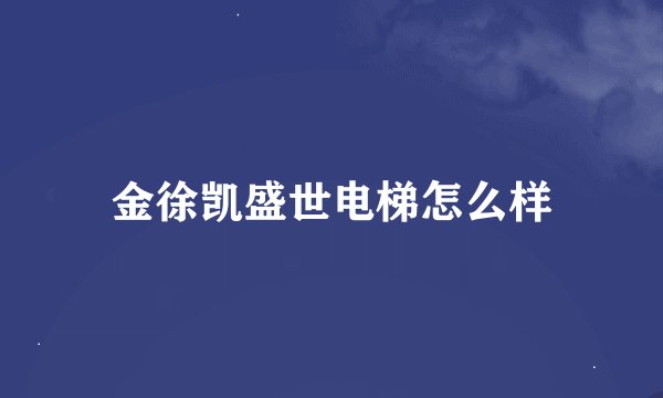 金徐凯盛世电梯怎么样