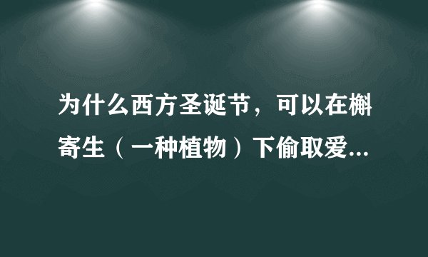 为什么西方圣诞节，可以在槲寄生（一种植物）下偷取爱人的一个吻？