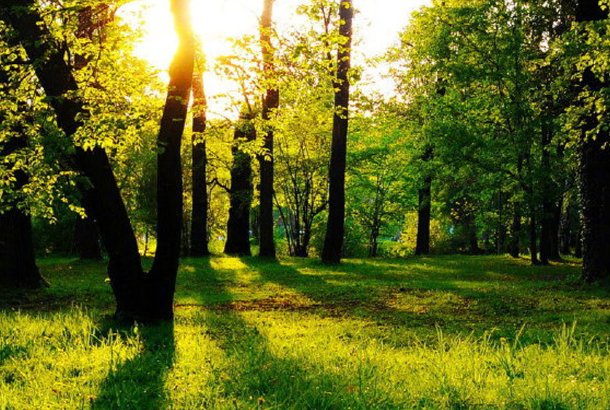 两个小朋友做早操写一段话