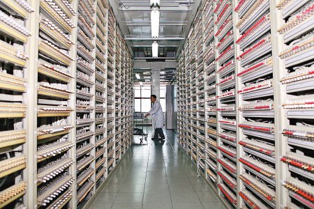 城市电讯的业务简介