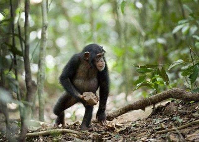 地球上最早的两个人是谁，为什么一男一女才能繁衍后代？