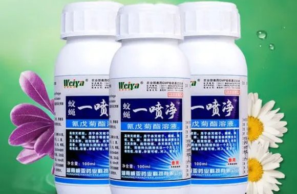 苍蝇怎么消灭 最有效的方法