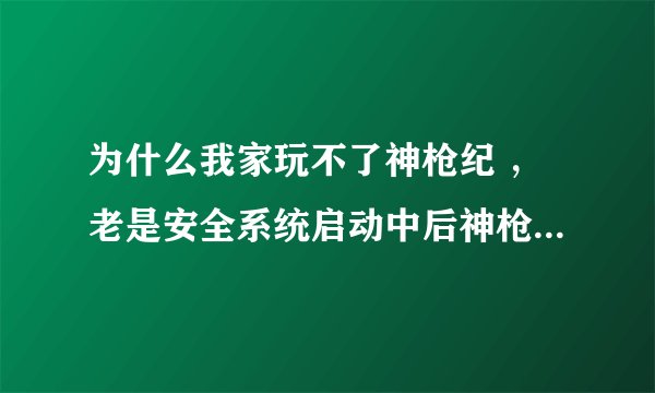 为什么我家玩不了神枪纪 ，老是安全系统启动中后神枪纪的图片就没了。下面是我家电脑求高手解决。
