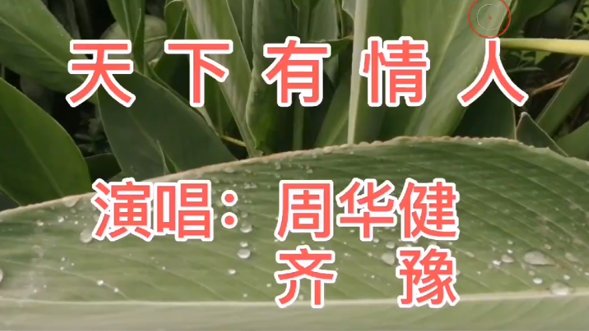 爱在迷迷糊糊便开始粤语是什么歌?