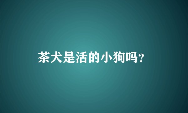 茶犬是活的小狗吗？