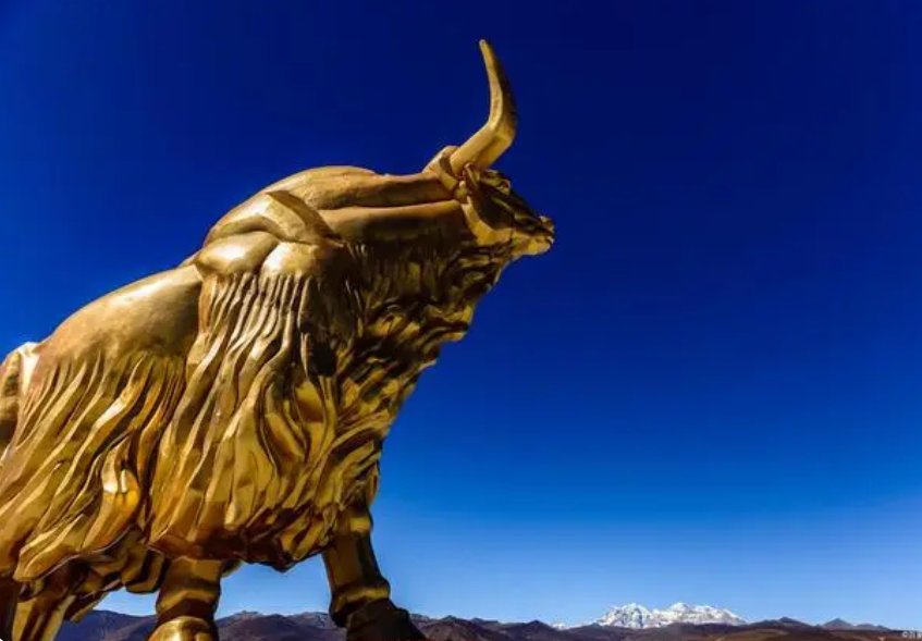 野草丛生是什么生肖牛