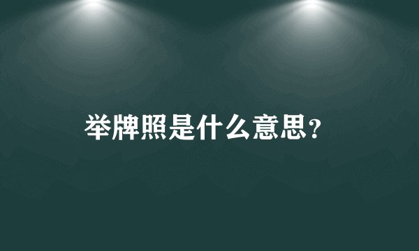举牌照是什么意思？
