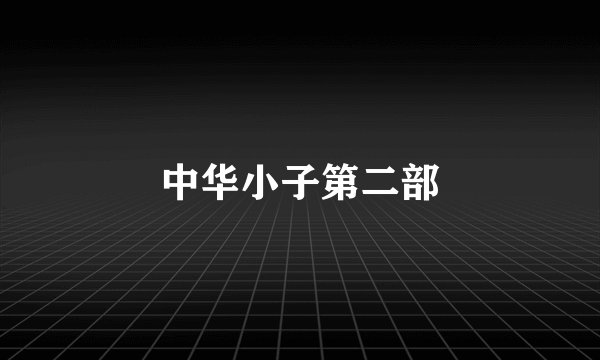 中华小子第二部